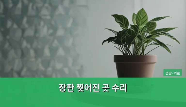 장판 찢어진 곳 수리 방법과 바닥재 관리 팁