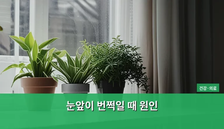 눈앞이 번쩍일 때 원인과 증상별 대처 방법