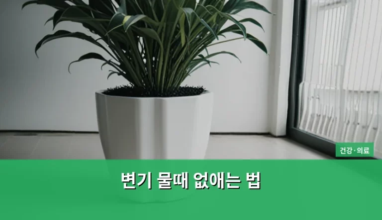 변기 물때 없애는 법과 깨끗한 화장실 관리 노하우