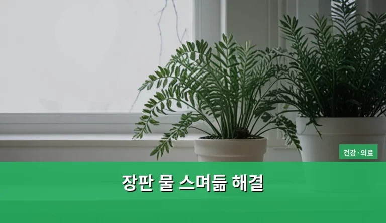 장판 물 스며듦 해결 방법과 곰팡이 건강 피해 예방