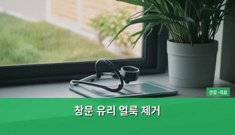 창문 유리 얼룩 제거 방법과 깨끗한 환경 관리 팁