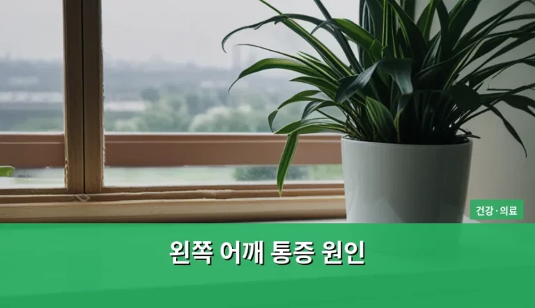 왼쪽 어깨 통증 원인 및 부위별 의심 질환 정리