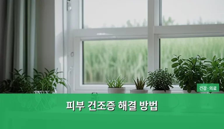 환절기 가려움 잡는 피부 건조증 해결 방법 가이드