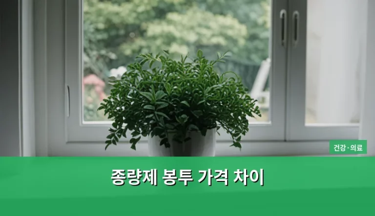 지역별 종량제 봉투 가격 차이와 위생적인 쓰레기 배출 방법