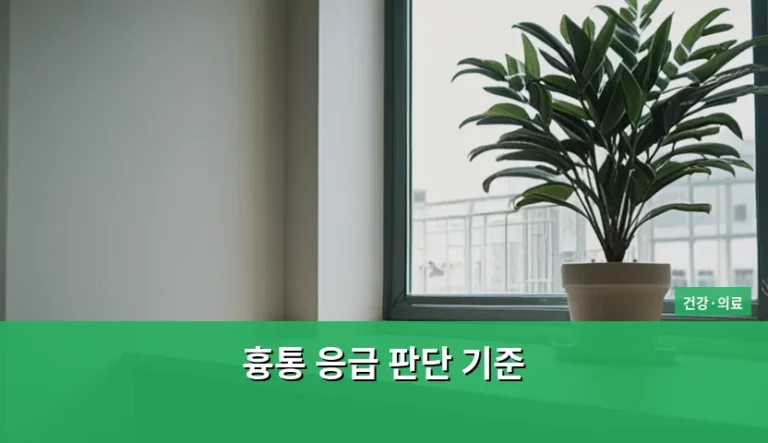 흉통 응급 판단 기준과 상황별 대처 방법