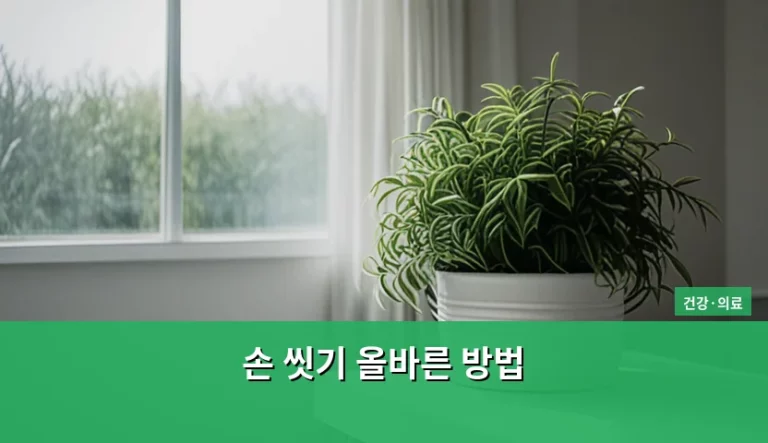 감염병 예방을 위한 손 씻기 올바른 방법과 실천 가이드