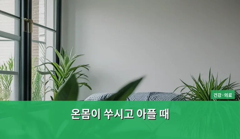 온몸이 쑤시고 아플 때 원인과 완화 방법 가이드