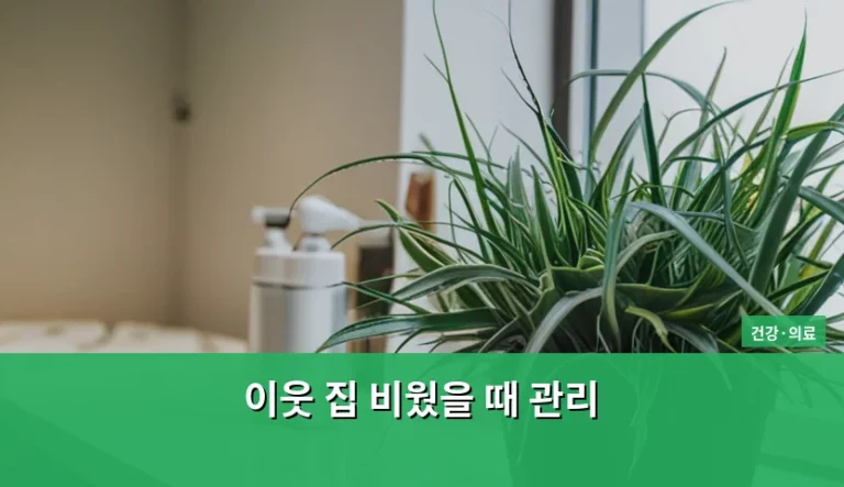 이웃 집 비웠을 때 관리와 주거 환경 건강 수칙