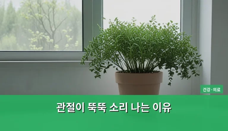 관절이 뚝뚝 소리 나는 이유와 증상별 관리법