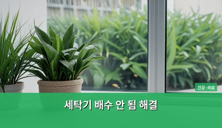 세탁기 배수 안 됨 해결 방법과 증상별 대처 가이드