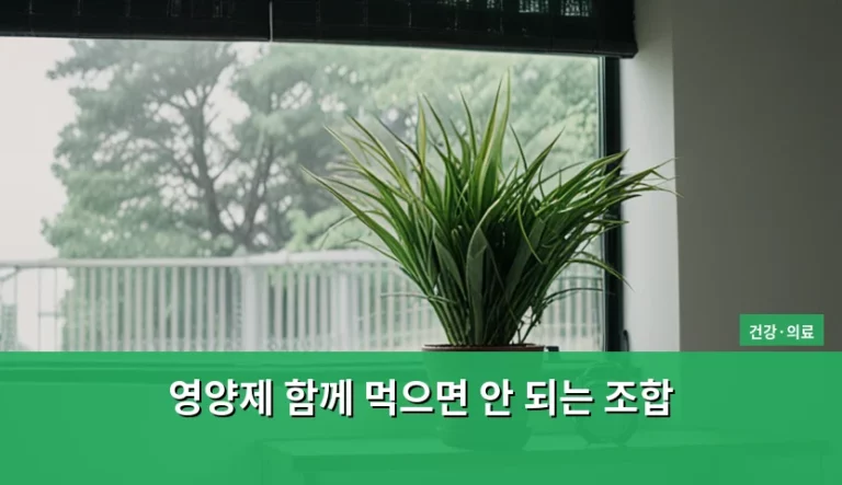 영양제 함께 먹으면 안 되는 조합 주의사항 및 복용 가이드