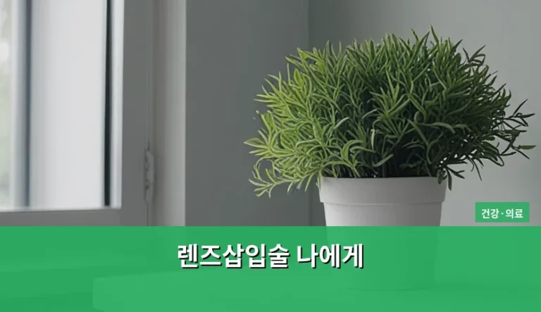 렌즈삽입술 나에게 맞는 선택일까 기준과 주의사항 정리