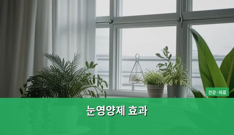 눈영양제 효과 성분별 특징과 올바른 선택 기준