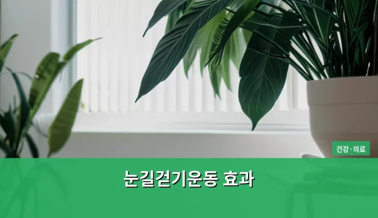 겨울철 건강을 챙기는 눈길걷기운동 효과와 안전 수칙