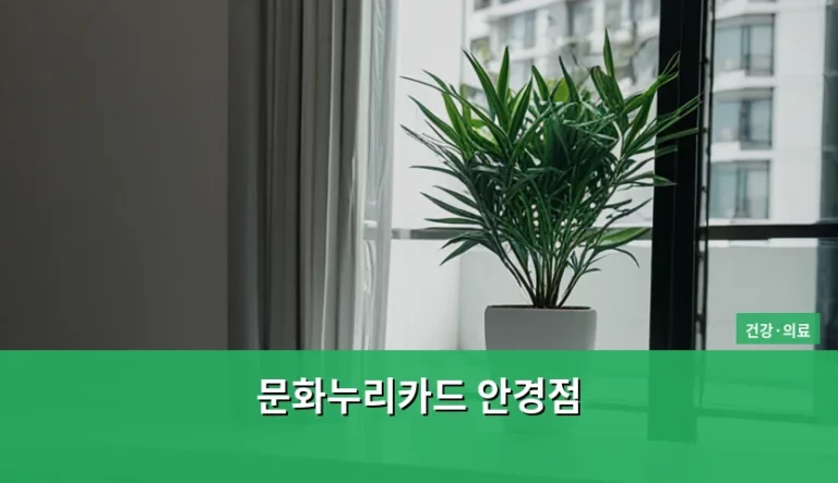 문화누리카드 안경점 사용 가능 여부와 대체 지원 방법