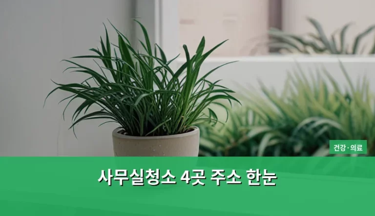 사무실청소 4곳 주소 한눈에 확인하고 건강한 환경 만들기