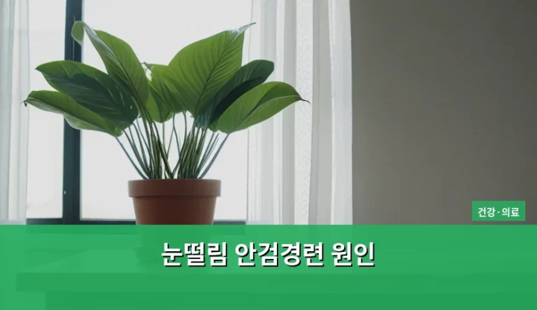 눈떨림 안검경련 원인과 증상별 맞춤 해결책