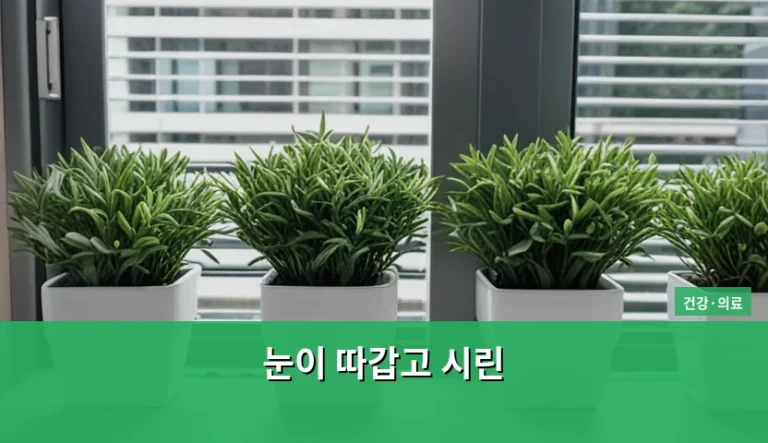눈이 따갑고 시린 증상 원인과 관리 방법 가이드