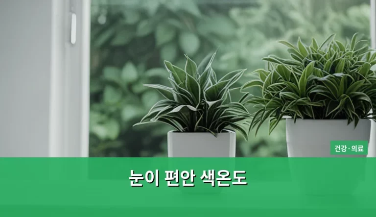 눈이 편안 색온도 설정 방법과 시간대별 조명 가이드