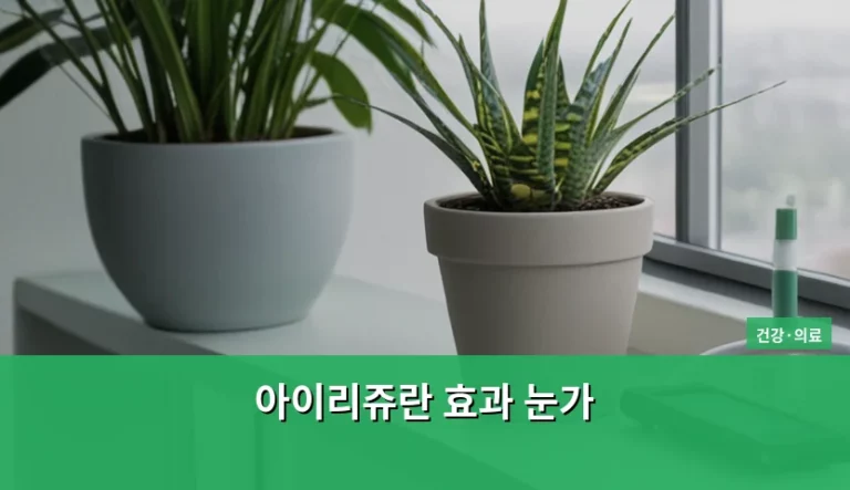 아이리쥬란 효과 눈가 잔주름 개선과 주의사항 정리