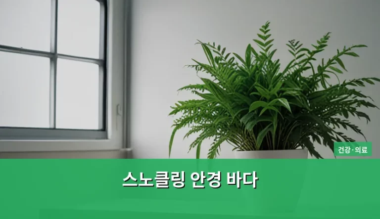 스노클링 안경 바다 선택법과 안전 가이드