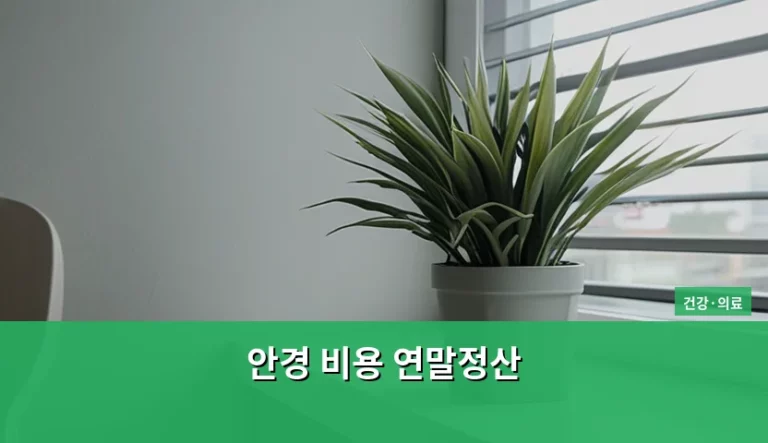 안경 비용 연말정산 공제 조건과 환급 받는 방법
