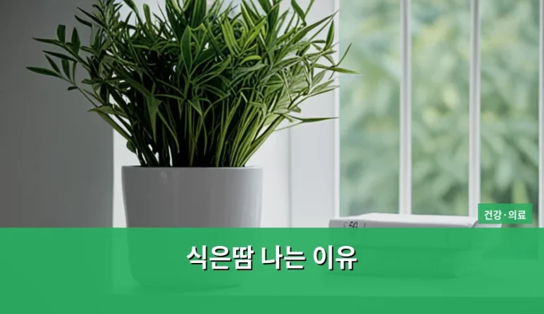 식은땀 나는 이유와 몸이 보내는 위험 신호 분석