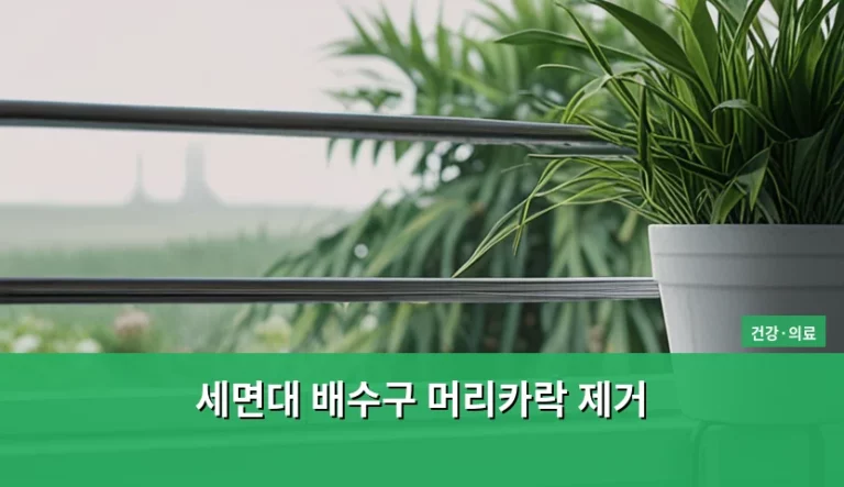 세면대 배수구 머리카락 제거 방법과 위생 관리 가이드