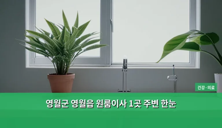 영월군 영월읍 원룸이사 1곳 주변 한눈 가이드와 주의사항