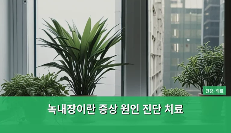 녹내장이란 증상 원인 진단 치료 방법과 관리 가이드