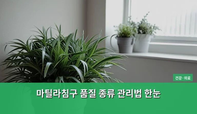 마틸라침구 품질 종류 관리법 한눈에 보는 가이드