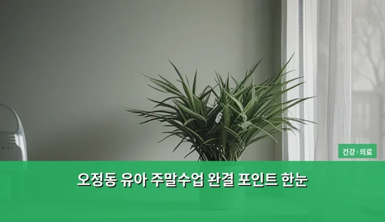 오정동 유아 주말수업 완결 포인트 한눈에 보는 가이드