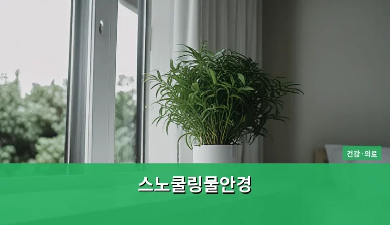 스노쿨링물안경 선택 기준과 도수 맞춤 가이드