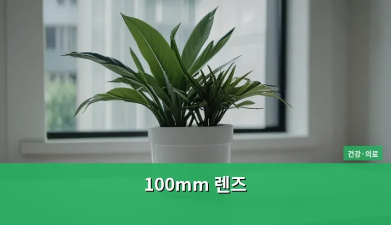 100mm 렌즈 선택 가이드와 활용 방법