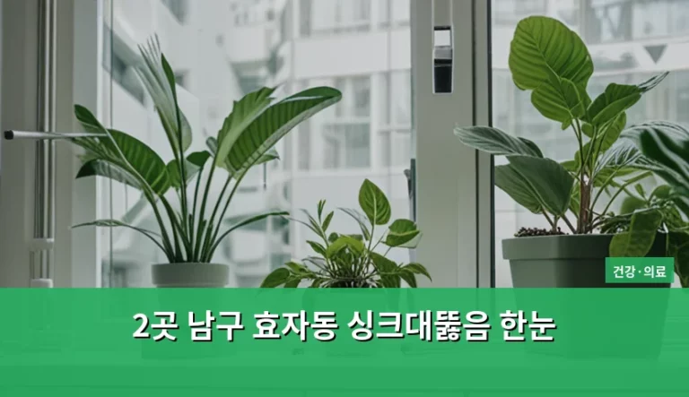 2곳 남구 효자동 싱크대뚫음 한눈 해결 가이드