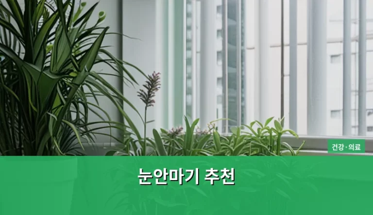 눈안마기 추천 및 올바른 선택 기준 가이드