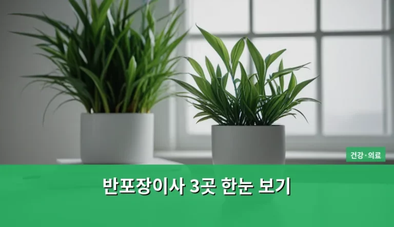 반포장이사 3곳 한눈 보기 및 비용 절약 팁
