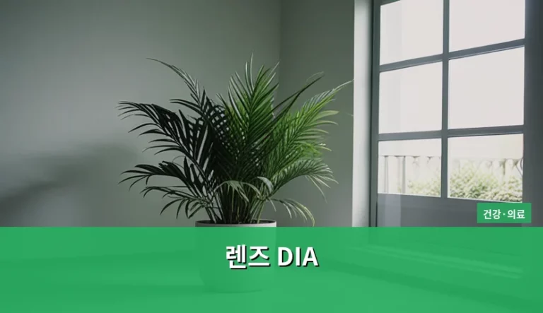 렌즈 DIA 수치 확인법과 나에게 맞는 직경 선택 가이드