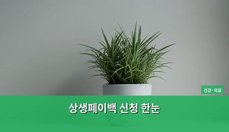 상생페이백 신청 한눈 가이드 및 주의사항 정리