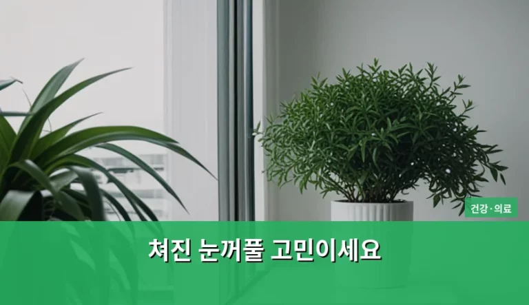 쳐진 눈꺼풀 고민이세요 원인부터 보험 혜택까지 총정리