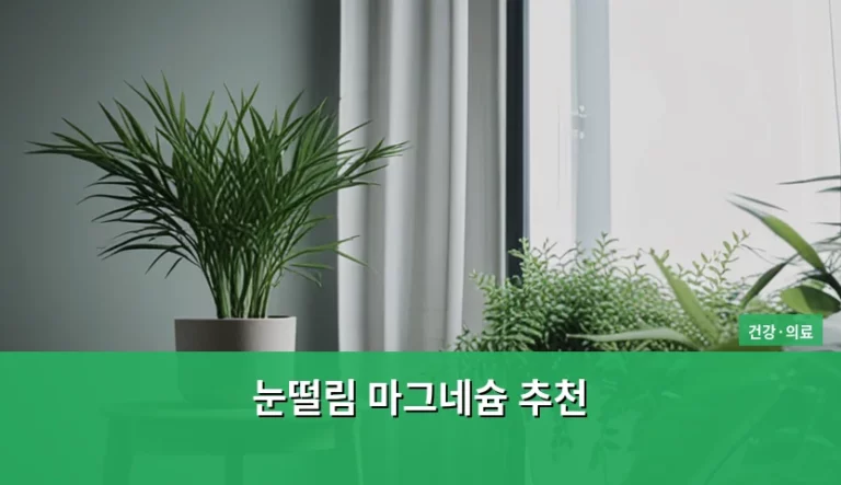 눈떨림 원인과 마그네슘 추천 및 올바른 섭취 방법