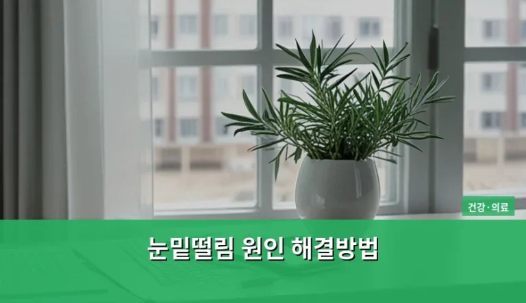 눈밑떨림 원인 해결방법 및 증상 완화 가이드