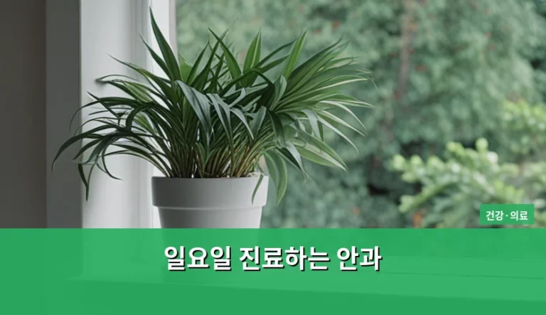 일요일 진료하는 안과 방문 전 확인사항 및 주의점