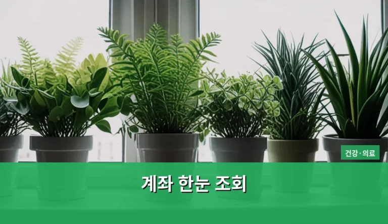 내 돈 흐름 잡는 계좌 한눈 조회 이용 가이드