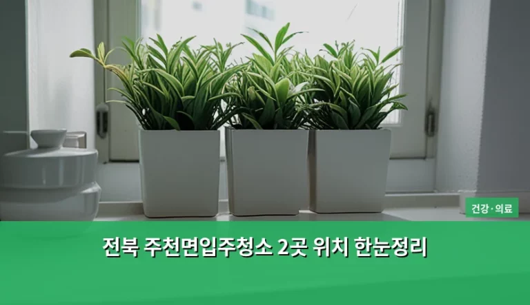 전북 주천면입주청소 2곳 위치 및 이용 가이드