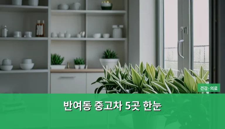 반여동 중고차 5곳 한눈 비교 및 구매 가이드