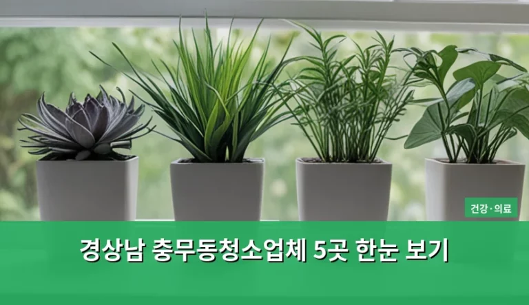 경상남 충무동청소업체 5곳 한눈 보기 및 선택 가이드