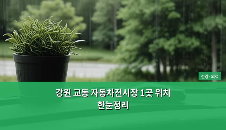 강원 교동 자동차전시장 1곳 위치 및 방문 가이드