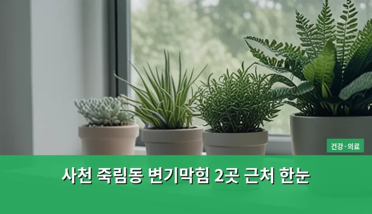 사천 죽림동 변기막힘 2곳 근처 한눈 해결 가이드