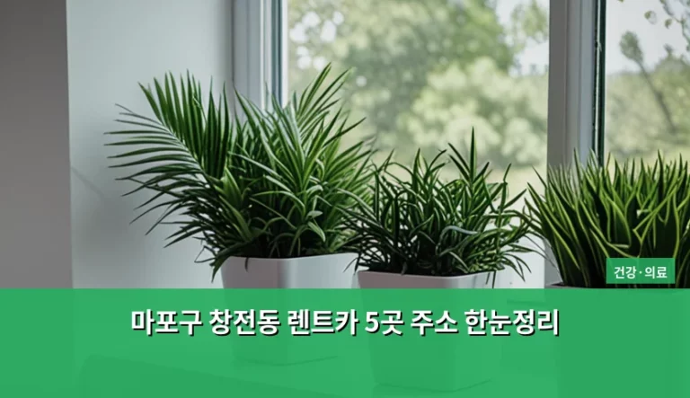 마포구 창전동 렌트카 5곳 주소 한눈정리 및 이용 가이드